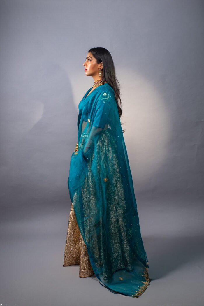 Sitara Lehenga - Image 6