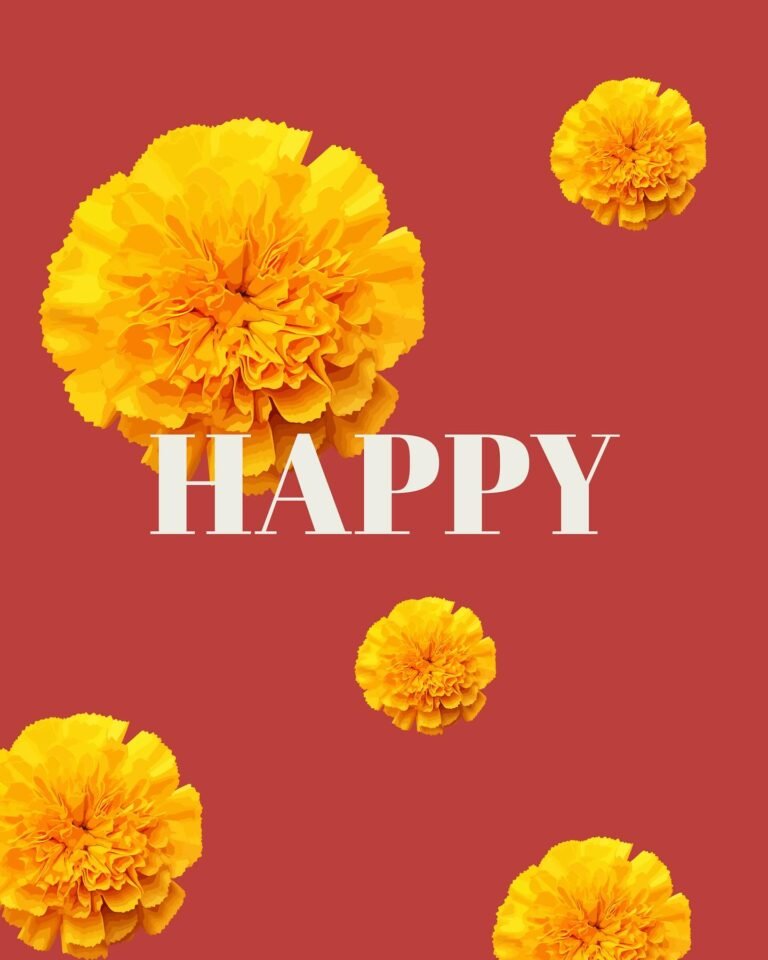 Instagram post from shimpi.co. This post is in position 6.